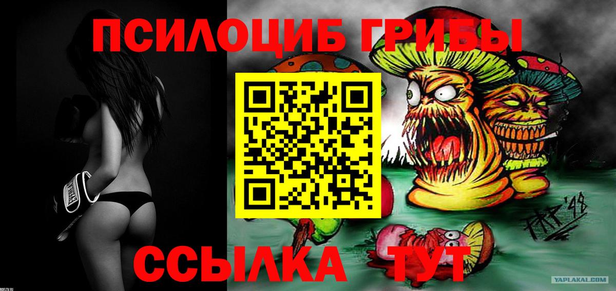 Галлюциногенные грибы ЛСД  купить наркоту  Тавда  Вход с VPN 